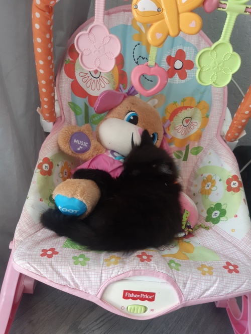 CUTENESS ALERT!!!!!!!!